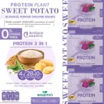 Protein Plants โปรตีน แพลนท์ รสมันเทศ สีม่วง จากพืช 3 ชนิด ออแกร์นิค โปรตีนจากข้าว ถั่วลันเตา มันฝรั่ง ปรุงสำเร็จชนิดผง 1 กล่อง 7 ซอง 350 กรัม