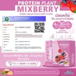 Protein Plants โปรตีน แพลนท์ รสมิกซ์ เบอร์รี่ 10 ชนิด  ออแกร์นิค โปรตีนจากข้าว ถั่วลันเตา มันฝรั่ง ปรุงสำเร็จชนิดผง 1 กล่อง 7 ซอง 350 กรัม
