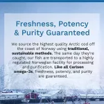 Norwegian cod liver oil from Norway Wild Norwegian Cod Liver Oil Gems, Super 1000 mg 100 Softgels Carlson Labs®