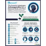 Indian Ginseng Ashwagandha 450 mg 90 Veg Capsules Now Foods®