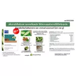 S-Balance Advanced 4 boxes