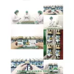 Pack 2 bottles, Tri Phala, Tori brand, club 60 capsules/1 bottle 1 large capsule 500 mg