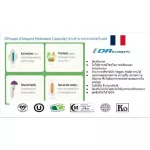 Probiotic probiotic 1 bottle contains 30 capsules 500mg/cap.