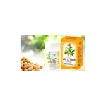 Flava Soi Flava Soy, Pharmaceutical Organization 60 Capsules.