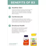 Vitamin B3 Niacin 100 mg 100 Tablets Puritan's Pride®