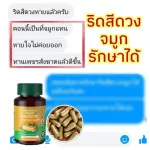 เพชรสังฆาต สมุนไพร บรรเทาอาการริดสีดวง ริดสีดวงทวาร ฝีคัณฑสูตร SN ช่วยระบาย ขับถ่ายง่าย 1 กระปุก 50เม็ด ส่งฟรี