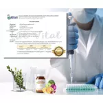 ส่งฟรี My Vitamune มาย ไวต้ามูน วิตามิน เสริมภูมิคุ้มกัน สูตรคุณหมอ บำรุงร่างกาย ภูมิแพ้ ลองโควิด ต้านอนุมูลอิสระ