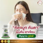 Ex พลูคาว อาหารเสริมภูมิคุ้มกัน exพลูคาวพลัส ป้องกันไวรัส แบคทีเรีย พลูคาวสกัด เข้มข้น แก้ภูมิแพ้ 1 กระปุก แถม ยาสีฟัน 1ชิ้น