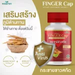 FINGER-CAP กระชายขาวสกัด ฟีงเกอะ แคป บรรจุแคปซูล ผสมผงมะขามป้อม 1 กระปุก 30 แคปซูล ทานได้ 1 เดือน