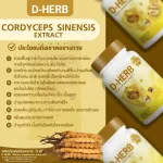 D-Herb D-Herb Tang for Rental, Beta Glucan Tart Cherry The ultimate herbs to nourish the body. Enhance the immune system - Buy 1 get 1 free 2 packs, 2 bottles, 120 capsules