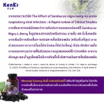 เก็นคิ มีนางิ กัมมี่ 1 กระปุก + เก็นคิ มีนางิ เม้าท์ สเปรย์ 1 ขวด