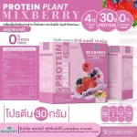 Protein Plants สูตร 1 โปรตีนแพลนท์ 10 รสชาติ  โปรตีนจากพืช ออแกร์นิค โปรตีนจากข้าว ถั่วลันเตา มันฝรั่ง ปรุงสำเร็จชนิดผง จำนวน 1 กล่อง บรรจุ 7 ซอง