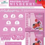 Protein Plants สูตร 1 โปรตีนแพลนท์ 10 รสชาติ  โปรตีนจากพืช ออแกร์นิค โปรตีนจากข้าว ถั่วลันเตา มันฝรั่ง ปรุงสำเร็จชนิดผง จำนวน 1 กล่อง บรรจุ 7 ซอง