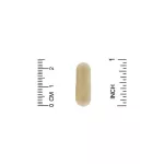 เห็ดหางไก่งวง Fungiology Full-Spectrum Turkey Tail 90 Veggie Capsules California Gold Nutrition®