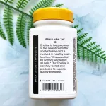 โคลีน Choline 500 mg 100 Vegan Tablets Nature's Way®