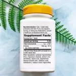 โคลีน Choline 500 mg 100 Vegan Tablets Nature's Way®