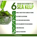 Kelp Iodine Source 225MCG 250 Tablets Swanson® enhancer