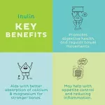 ผงอินนูลินบริสุทธิ์ ออแกนิค Certified Organic Inulin Pure Powder 227g Now Foods®