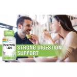 เอนไซม์แพนคริเอติน Pancreatin 1300 mg 90 vegCaps Solaray® ระบบย่อยอาหาร
