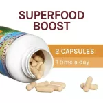 Cordyceps Energy Support 60 Vegetarian Capsules Host Defense® Mushrooms