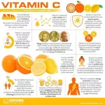 วิตามินซี แบบเม็ดฟู่ รสส้ม Immune Support Blast of Vitamin C, Zesty Orange 36 Effervescent Tablets Airborne®
