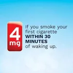 Stop Smoking Aid Lozenge Coated Ice Mint 4 mg 20 /Or 80 LOZENGES NICORETTE® Ice-Mint Nicore