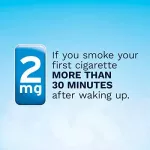 Stop Smoking Aid Lozenge Coated Ice Mint 2 mg 20 /Or 80 LOZENGES NICORETTE® Ice-Mint Nicore