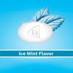 Stop Smoking Aid Lozenge Coated Ice Mint 2 mg 20 /Or 80 LOZENGES NICORETTE® Ice-Mint Nicore