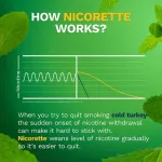 Nichet Mint, Mini LozENGE MINT 4 MG 20 Or 81 Lozenge Nicorette® Stop Smoking Aid Smoking Cessation Product