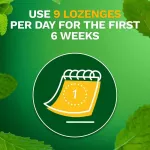 Nichet Mint, Mini LozENGE MINT 4 MG 20 Or 81 Lozenge Nicorette® Stop Smoking Aid Smoking Cessation Product