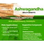 Indian ginseng nourishes the thyroid brain and the Ashwagandha 450 mg 180 Veggie Capsules California Gold Nutrition®.