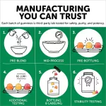 SmartyPants Kid Formula and Fiber 120 Gummies วิตามินรวมสำหรับเด็ก ผสมไฟเบอร์ 120 กัมมี่