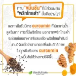 Khaolaor ขาวละออ Curmin 500 Plus เคอร์มิน 500 พลัส ขมิ้นชันผสมพริกไทยดำ 100 แคปซูล/ขวด จุกเสียด ท้องอืด  ท้องเฟ้อ