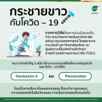 Set Double x2 Great value Krachai Plus Krachai mixed beta glu from yeast 60 capsules