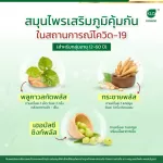 Set Double x2 Great value Krachai Plus Krachai mixed beta glu from yeast 60 capsules