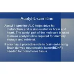 Acetil-L-Carnitine Acetyl L-Carnitine 500 MG 60 Vegan Capsules MRM®