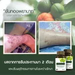 Cream, betel, Phaya Yo, vengeful, relieves lymph nine, psoriasis formula, 2 pieces of herbal rash