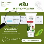 Cream, betel, Phaya Yo, vengeful, relieves lymph nine, psoriasis formula, 2 pieces of herbal rash