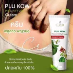 Cream, betel, Phaya Yo, vengeful, relieves lymph nine, psoriasis formula, 2 pieces of herbal rash