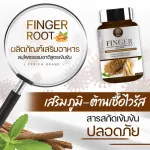 กระชายขาว เสริมภูมิคุ้มกัน กระชายสกัด ต้านการอักเสบ ปรับสมดุล ลดกรดในกระเพาะ บำรุงหัวใจ สมอง และกระดูก Finger