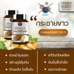 กระชายขาว เสริมภูมิคุ้มกัน กระชายสกัด ต้านการอักเสบ ปรับสมดุล ลดกรดในกระเพาะ บำรุงหัวใจ สมอง และกระดูก Finger