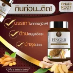 กระชายขาว เสริมภูมิคุ้มกัน กระชายสกัด ต้านการอักเสบ ปรับสมดุล ลดกรดในกระเพาะ บำรุงหัวใจ สมอง และกระดูก Finger