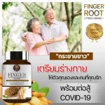 กระชายขาว เสริมภูมิคุ้มกัน กระชายสกัด ต้านการอักเสบ ปรับสมดุล ลดกรดในกระเพาะ บำรุงหัวใจ สมอง และกระดูก Finger