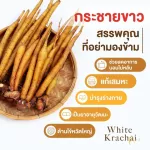 กระชายขาว เสริมภูมิคุ้มกัน กระชายสกัด ชนิดแคปซูล สมุนไพร บำรุงหัวใจ สมอง กระดูก ภูมิคุ้มกัน ปรับสมดุล ลดความดันโลหิต