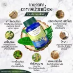 สมุนไพรแก้ปวดเมื่อย Sn9 เอสเอ็น9 1 แถม 1 SN9 กษัยเส้น ปวดเข่า ปวดขา เส้นตึง เส้นยึด ปวดเส้น ปวดไหล่ มีปลายทาง