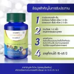 สมุนไพรแก้ปวดเมื่อย Sn9 เอสเอ็น9 1 แถม 1 SN9 กษัยเส้น ปวดเข่า ปวดขา เส้นตึง เส้นยึด ปวดเส้น ปวดไหล่ มีปลายทาง