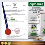 EX พลูคาว กระปุกเล็ก 30 แคปซูล เสริมสร้างภูมิคุ้มกันร่างกาย สมุนไพรเพิ่มภูมิคุ้มกัน วิตามินex ลดภูมิแพ้ ไข้หวัด ปอดอักเสบ พร้อมส่ง !!