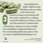 สมุนไพรฟ้าทะลายโจร แก้วมณีสมุนไพร 10 แคปซูล ฟ้าทะลายโจรแคปซูล เพิ่มภูมิคุ้มกัน  พร้อมส่ง