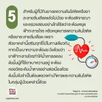 สมุนไพรฟ้าทะลายโจร แก้วมณีสมุนไพร 10 แคปซูล ฟ้าทะลายโจรแคปซูล เพิ่มภูมิคุ้มกัน  พร้อมส่ง