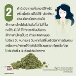 สมุนไพรฟ้าทะลายโจร แก้วมณีสมุนไพร 10 แคปซูล ฟ้าทะลายโจรแคปซูล เพิ่มภูมิคุ้มกัน  พร้อมส่ง